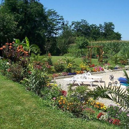 Bed and Breakfast La Gamardaise - M.Millot Gamarde-les-Bains Exterior foto
